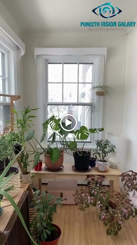Videos