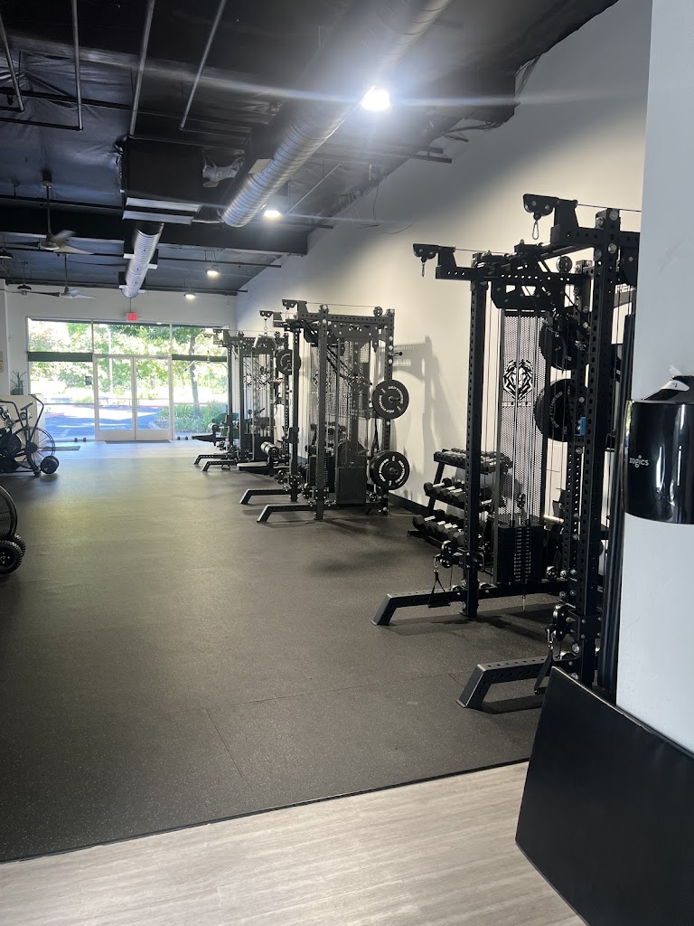  Foundation Fit Chico