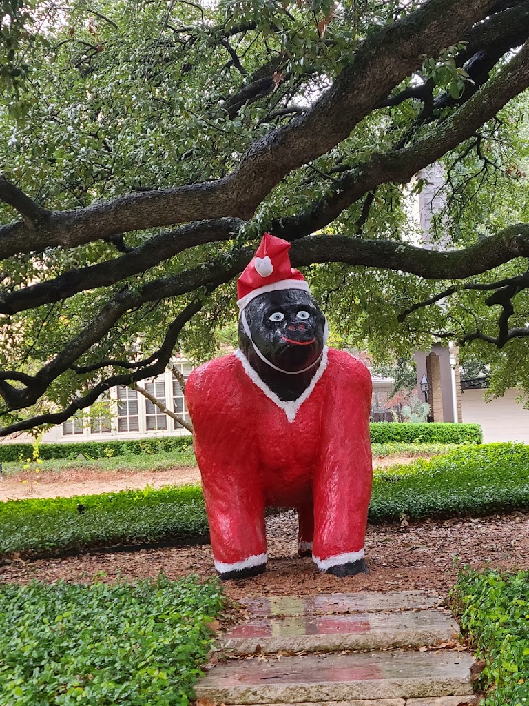 Darwin The Gorilla