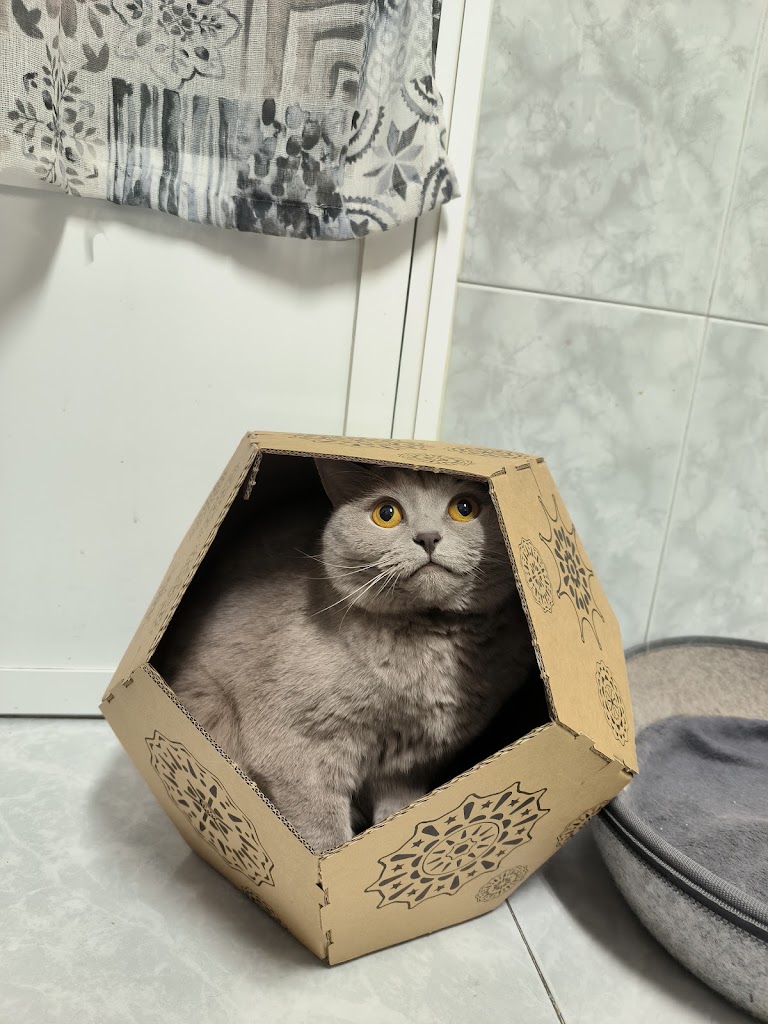 Aoiz clinica Veterinaria — Del propietario
