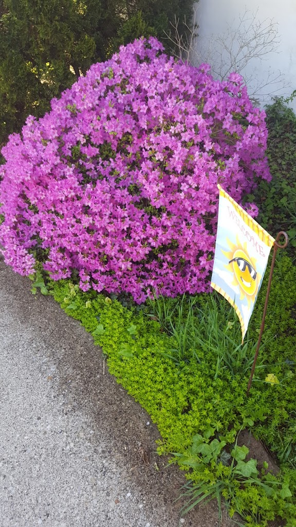 Kroger Floral Department