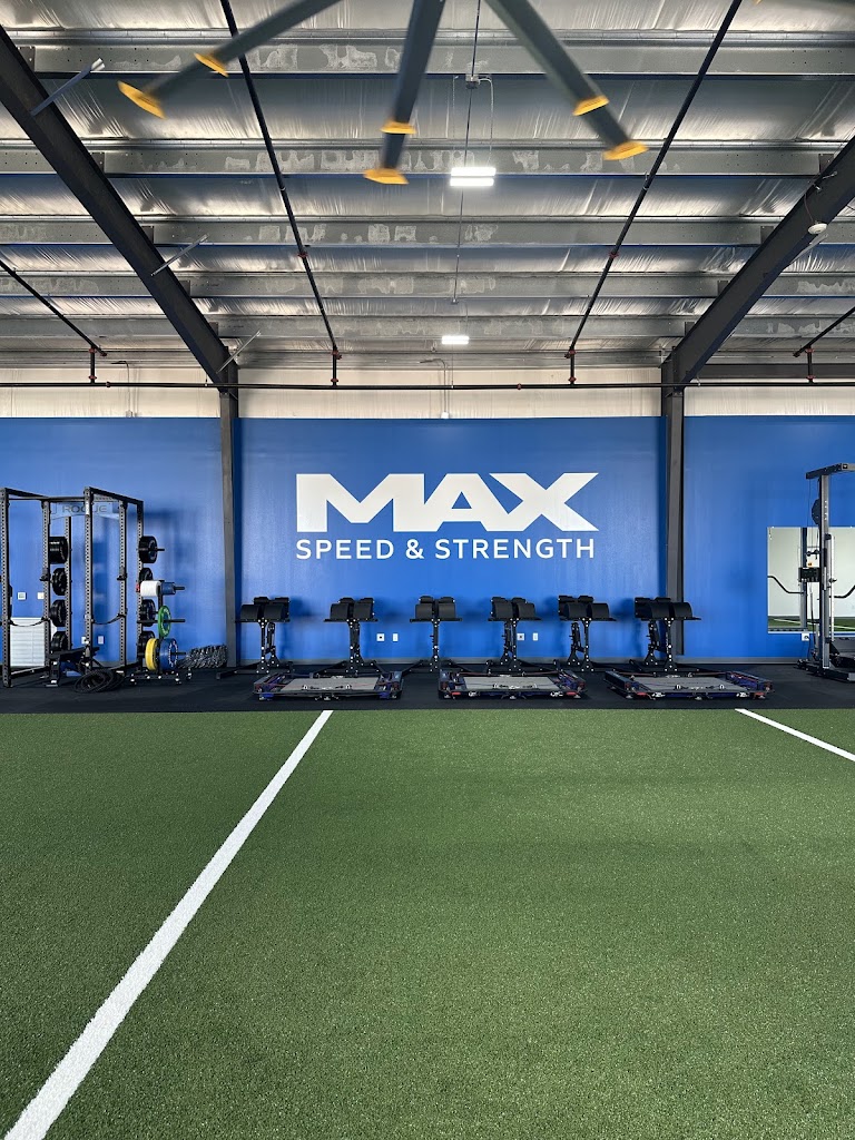  Max Speed and Strength Cypress