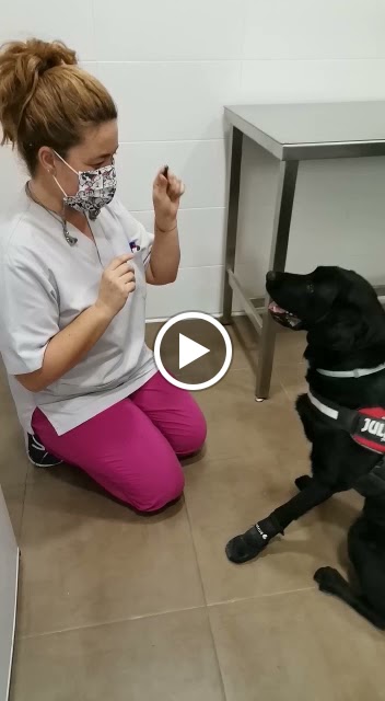 Clinica Veterinaria Toffe- San fernando — Del propietario