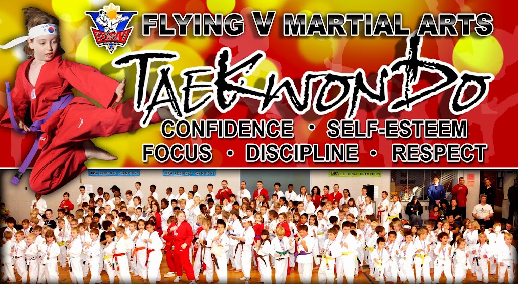  Flying V Martial Arts