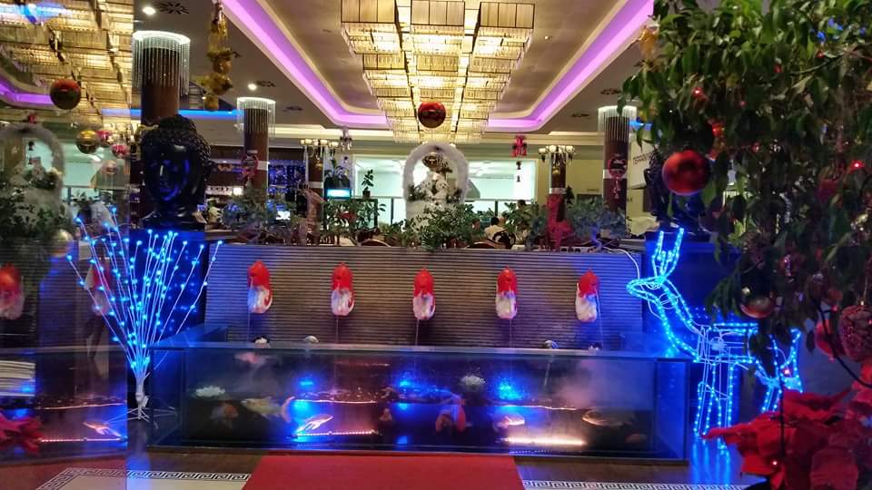 Enjoy Asian Restaurant — Ambiente
