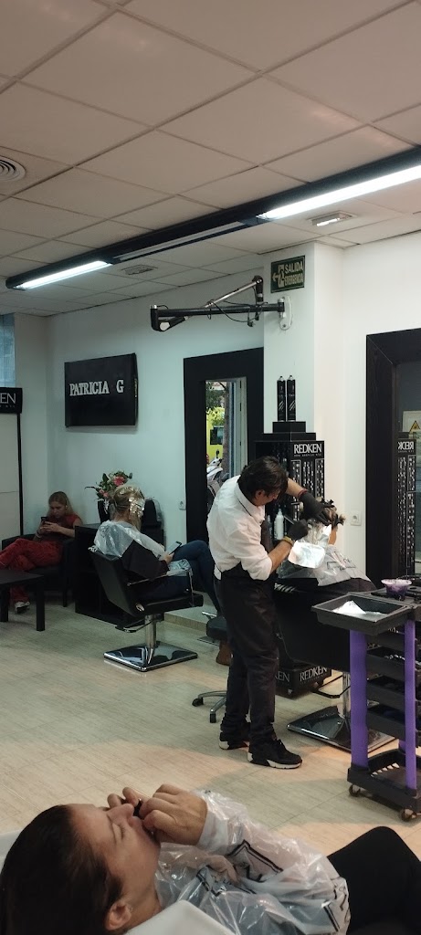 Patricia G Hair & Beauty - Peluqueria Rincon de la Victoria — Peinado