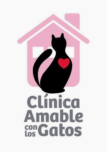Bris Clinica Veterinaria- Albaitari Klinika — Gato