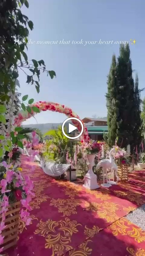 Videos