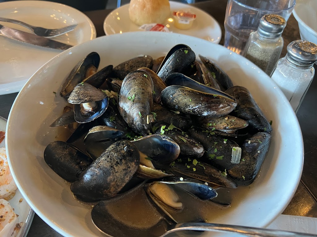 Mussels