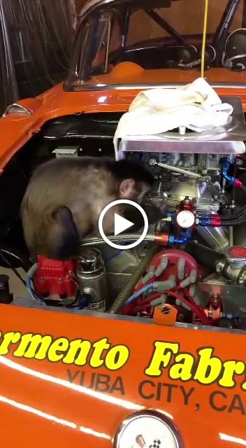 Adrian's Garage — Videos