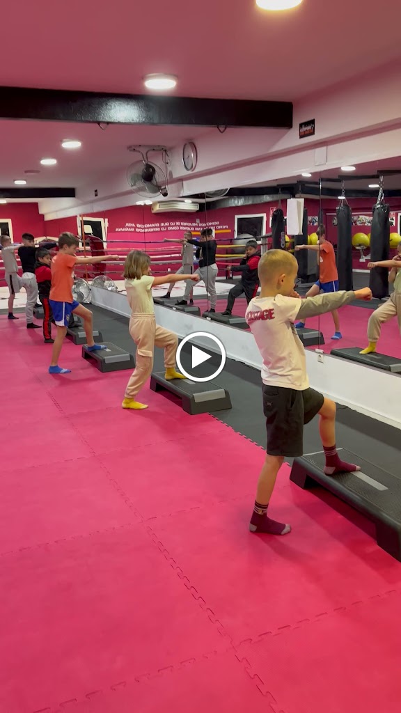 Wolves KickBoxing Club — Del propietario