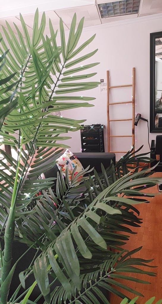 Neoma Unisex — Del propietario