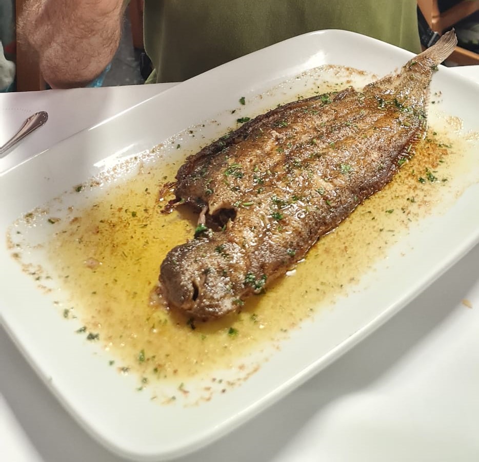 Basilio Celaya Urzaa