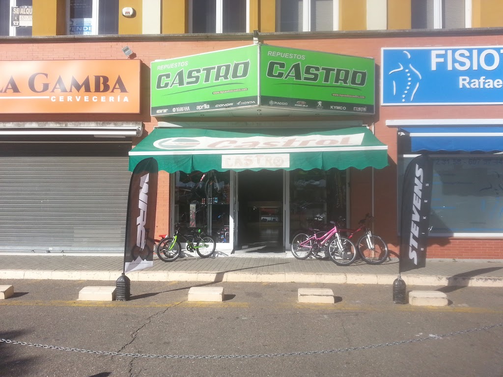 Auto Repuestos Castro