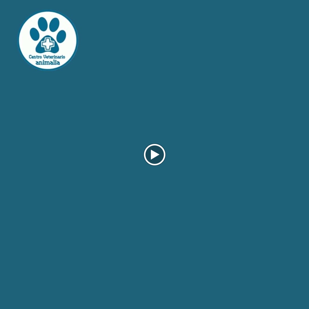 Centro Veterinario Animalia - Urgencias Chiclana — Del propietario