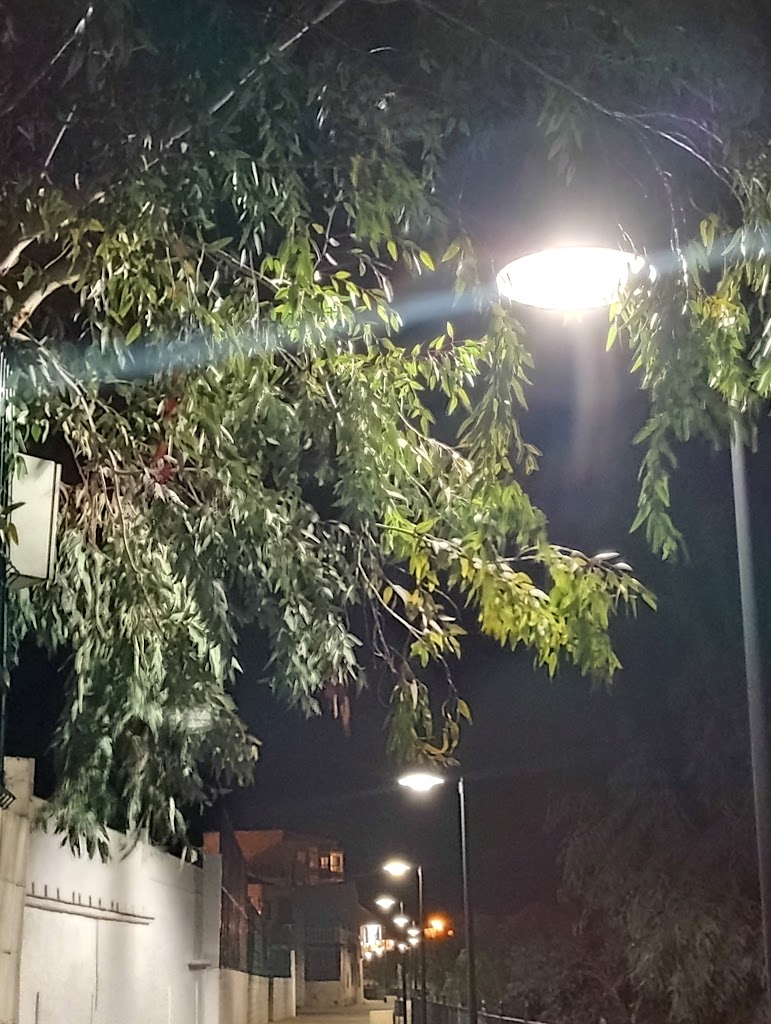 Paseo del ayudante de ingenieros D. Ricardo Moreno Ortega