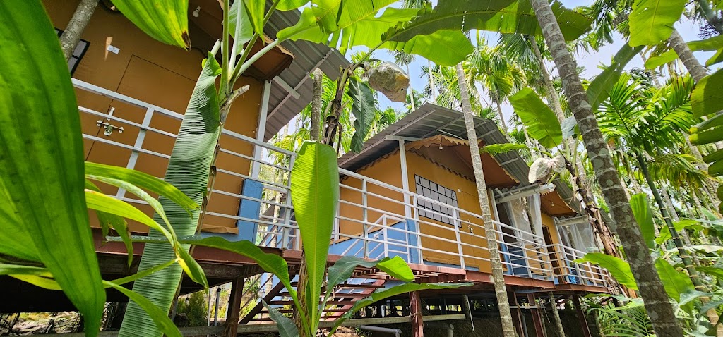 Greenland Junglestay