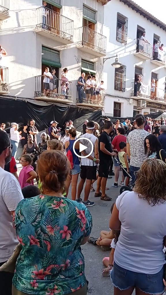 Heladeria Via Lattea — Videos