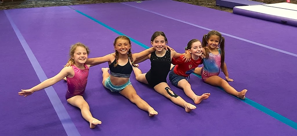  Wildcats Gymnastics