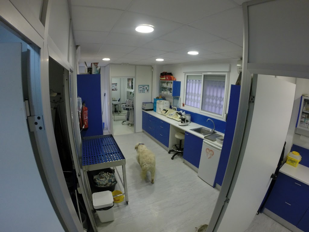 Clinica Veterinaria Vetam — Del propietario