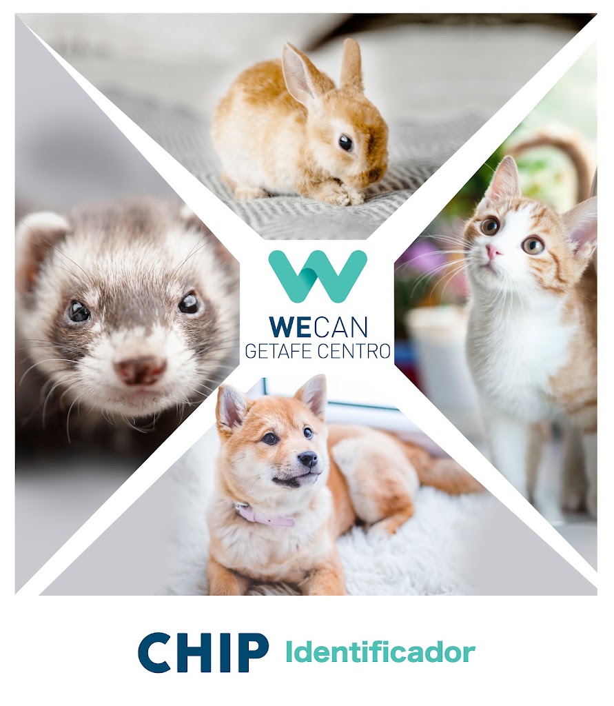 CLINICA VETERINARIA WECAN GETAFE CENTRO — Del propietario