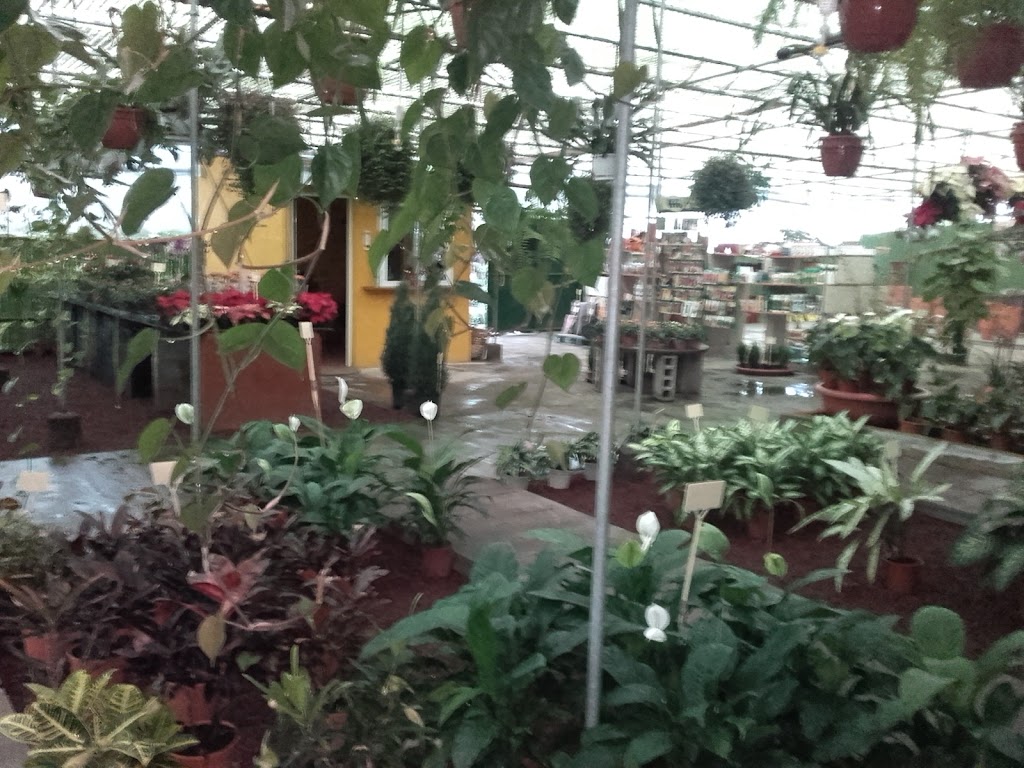 Tu Jardin Garden Center