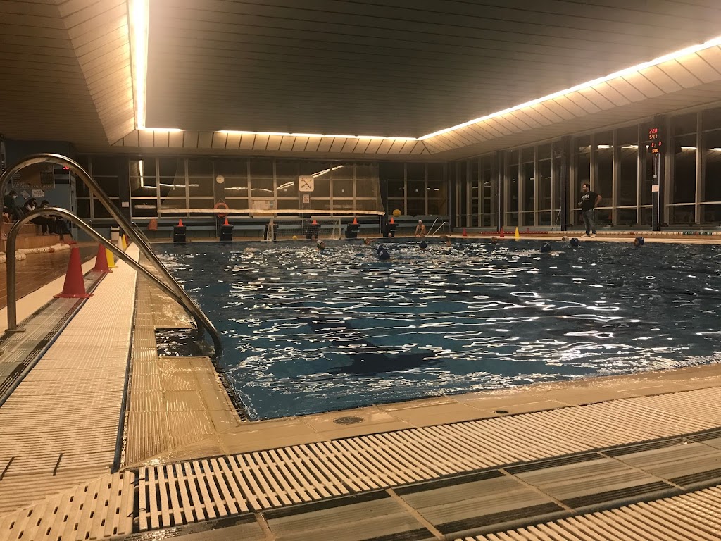 Club Waterpolo Sestao