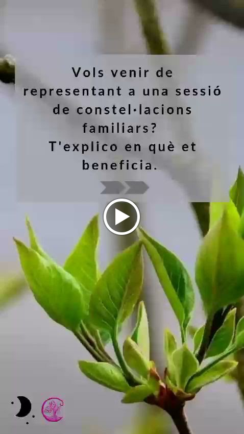 Camins terapies — Videos