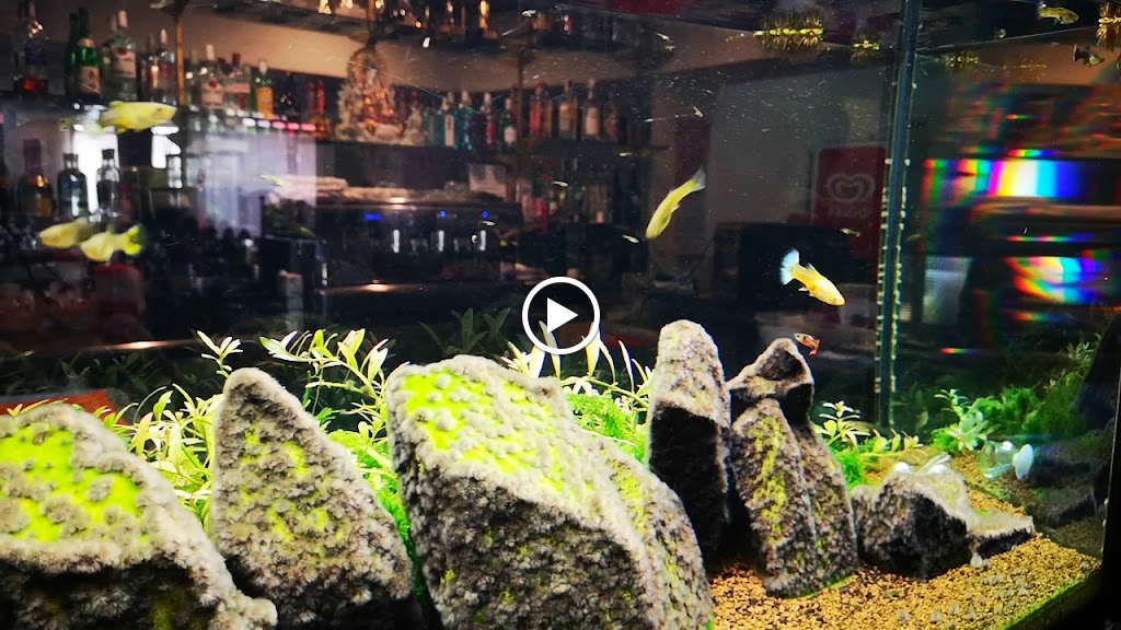 Restaurante Delicias de Oriente — Videos