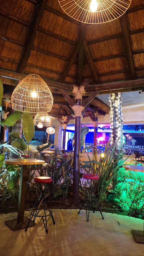MIAMI LOUNGE BAR TOMARES