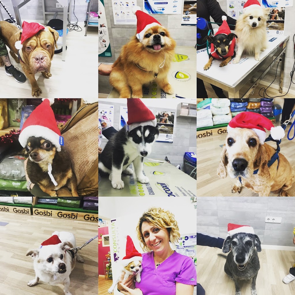 Clínica Veterinaria Fauno en San Javier