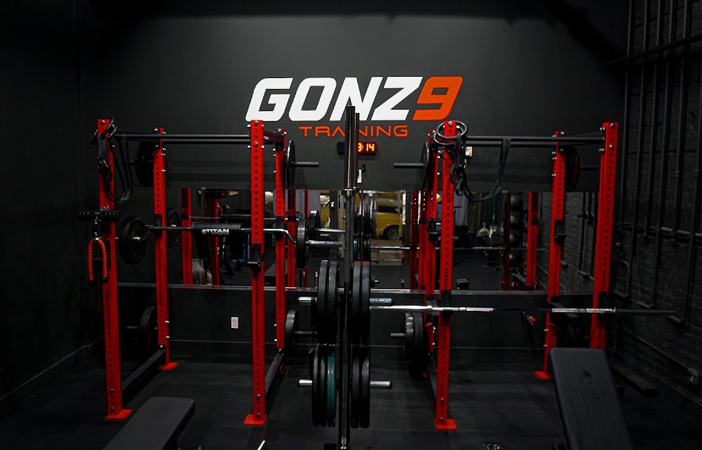  Gonz9 Training