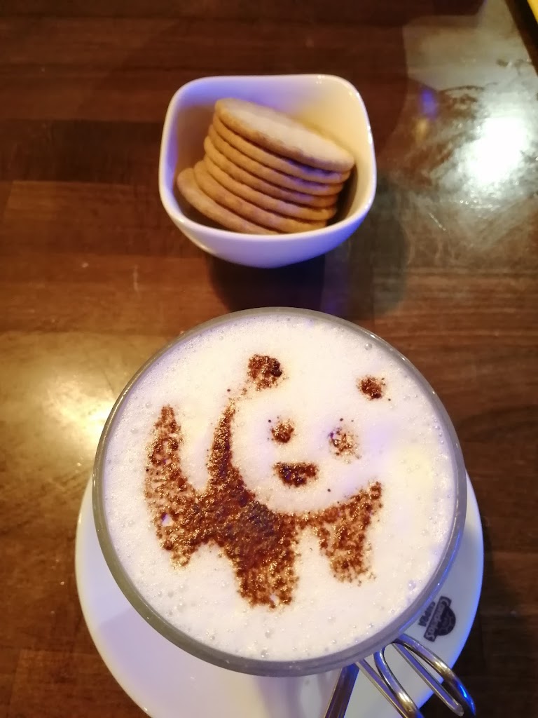 Cerveceria Beos Carballo — Capuchino