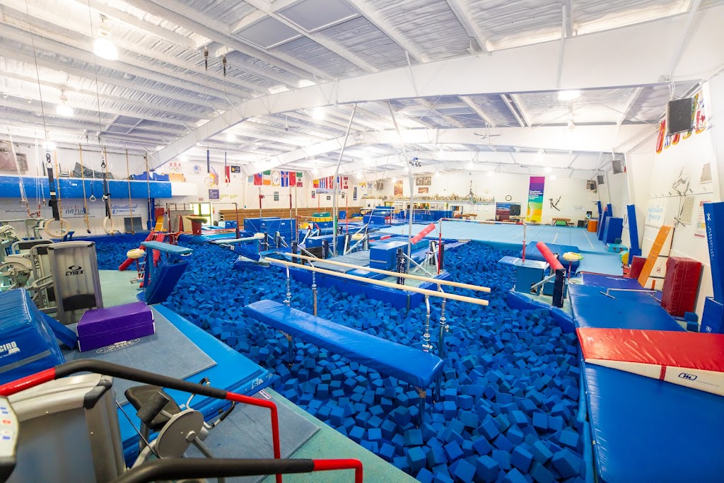  International Gymnastics School