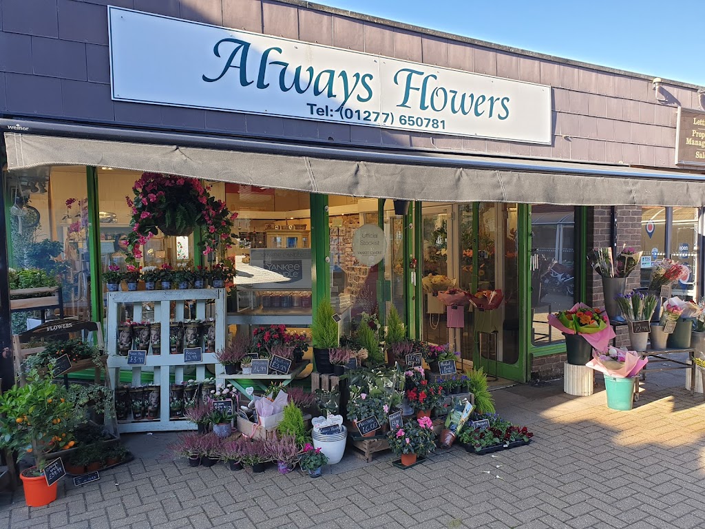 Always Flowers