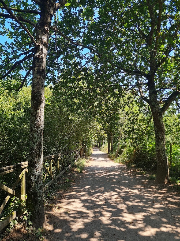 Senda do Lagares