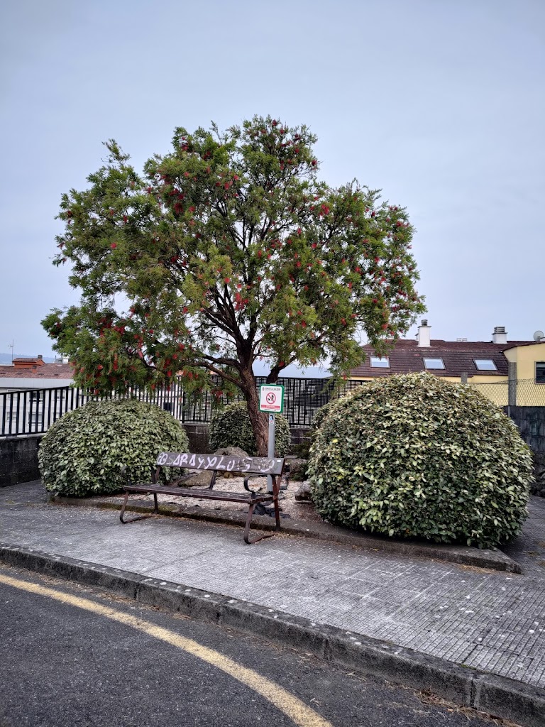 Parque en Camino de Ruza