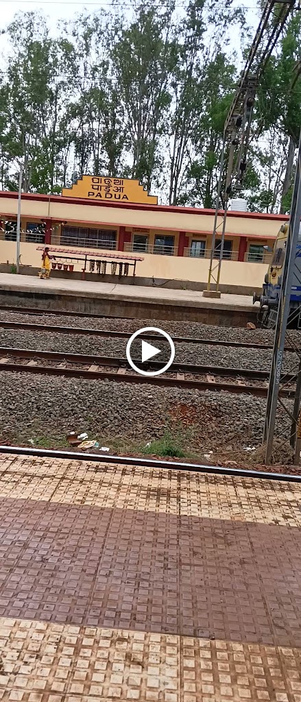 Videos