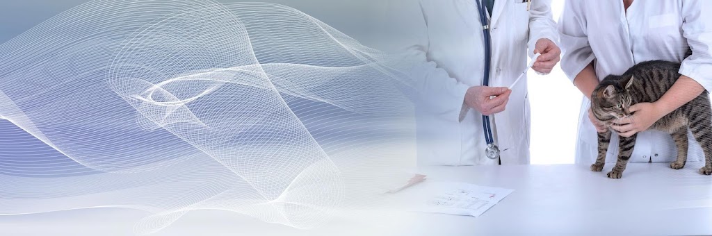 Clinica Veterinaria Montornes