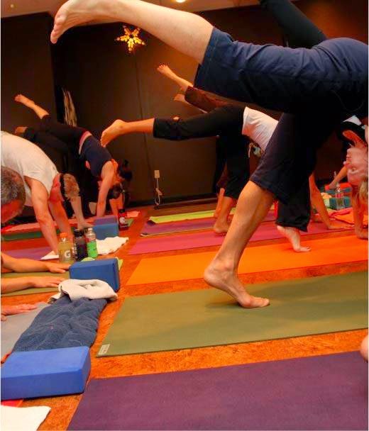  Yoga Project - Mansfield