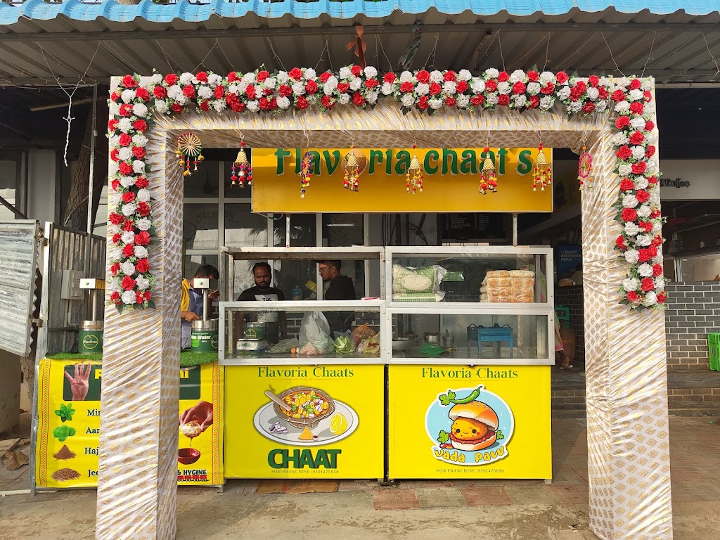Flavoria Chaats Palasa