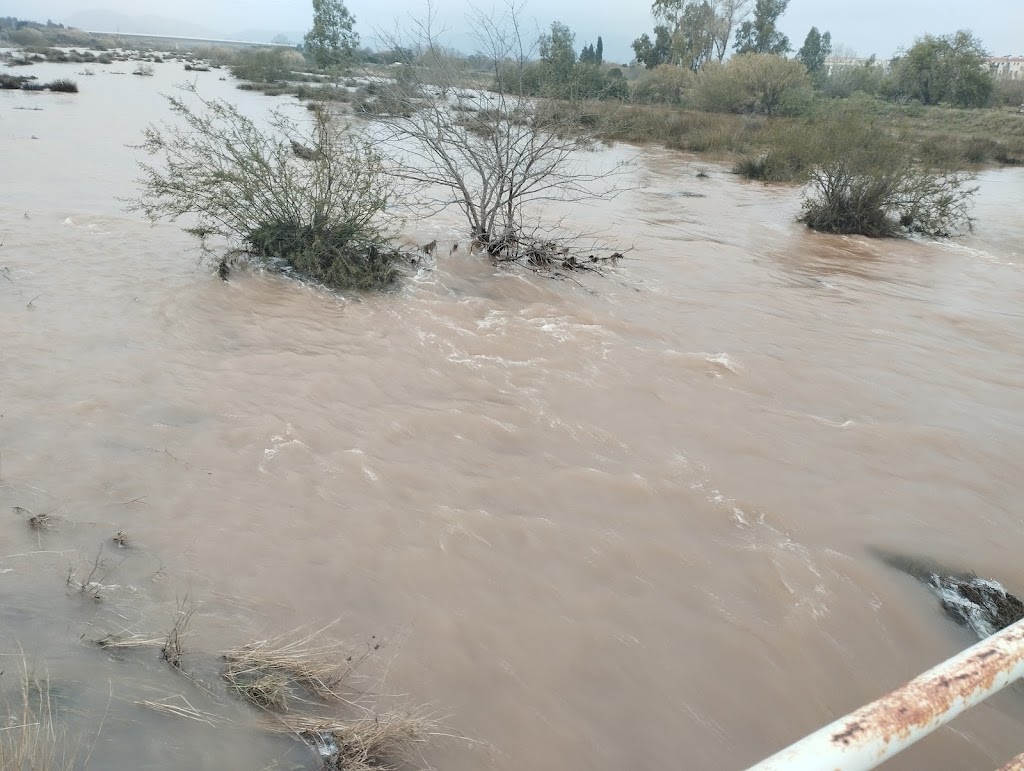 Ruta fluvial Rio Palancia (Sagunto) — Mas recientes