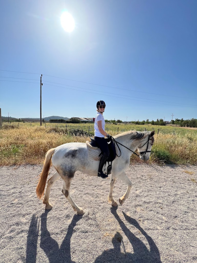 Escuela Equitacion MQ Dressage
