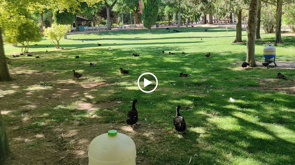 Parque el Lago