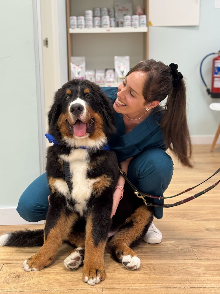 GREEN VET Clinica veterinaria