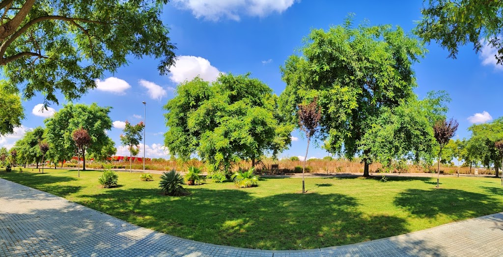 Senda Animacion Sociocultural Gestion del Ocio y el Tiempo Libre