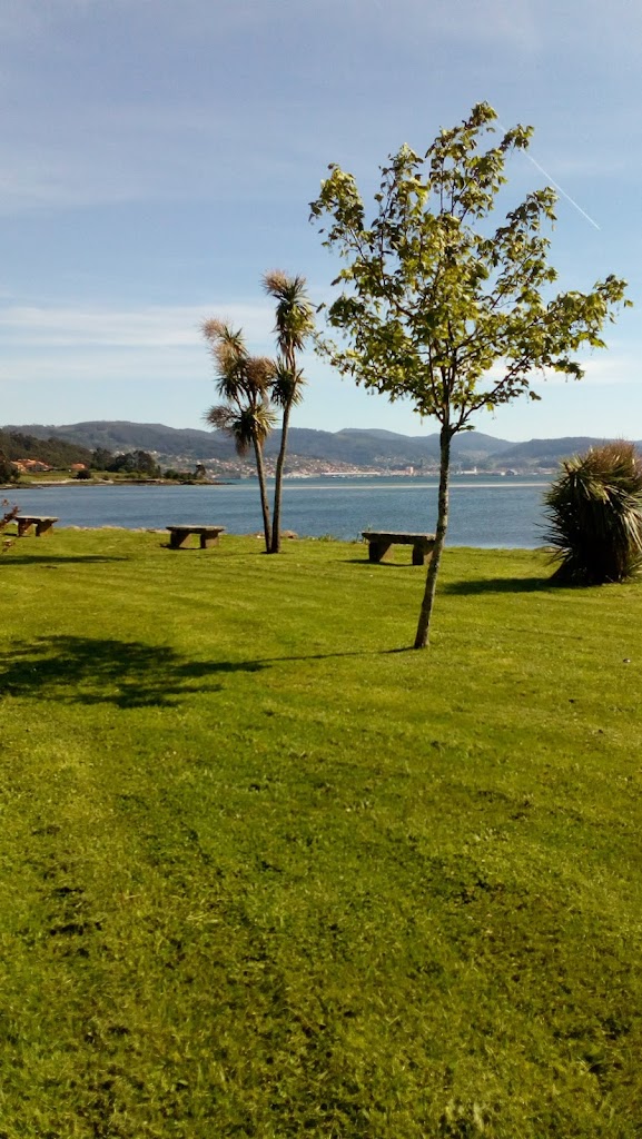Campo de futbol A Reiboa
