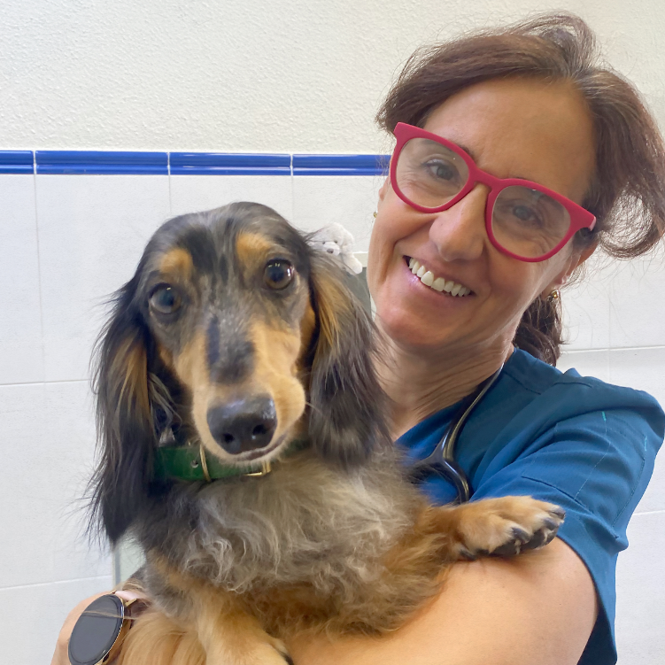 Clinica Veterinaria WECAN La Colina — Perro
