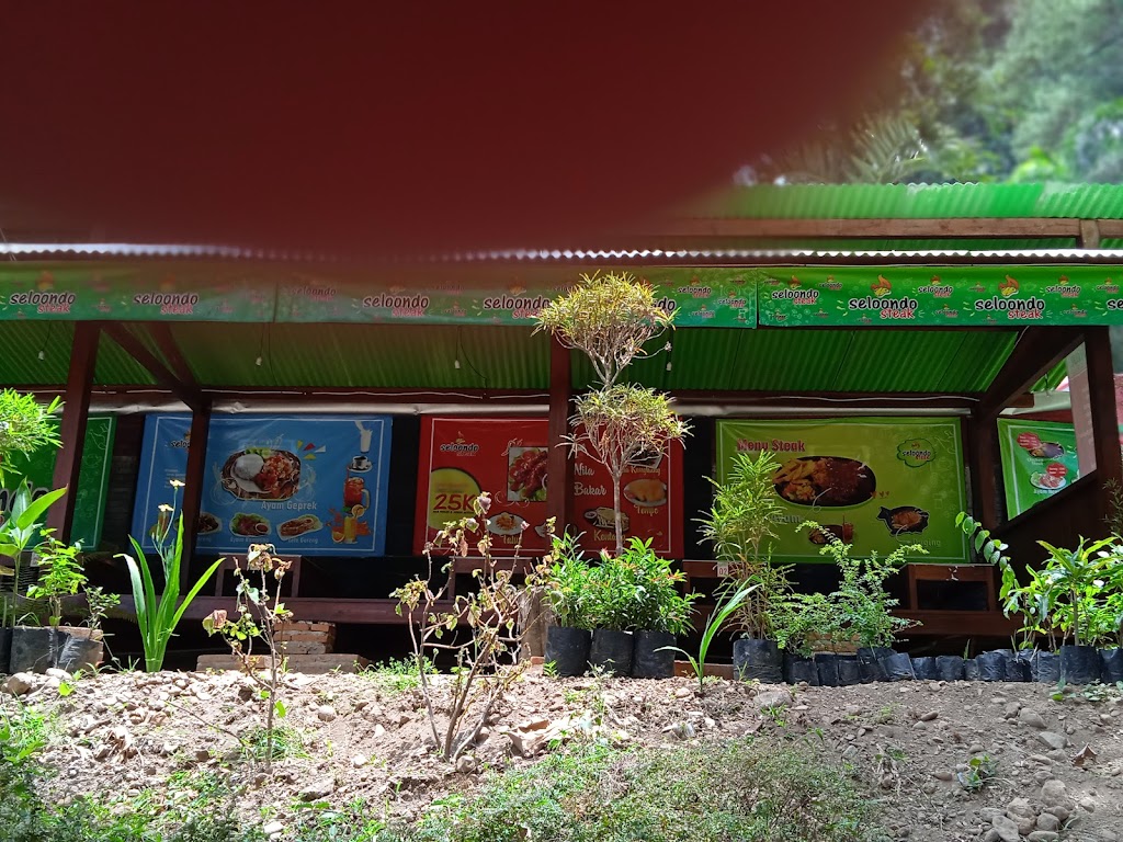 Selo Ondo Campground And Swimming Pool