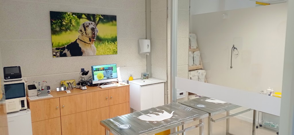 RealVets Centro Veterinario — Del propietario